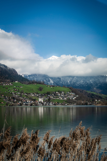 View of a serene lake reflecting the sky while a village nestles against mountains dusted with snow with reeds in the foreground Train from Lucerne to Interlaken Switzerland. View of a serene lake reflecting the sky while a village nestles against mountains dusted with snow with reeds in the foreground Train from Lucerne to Interlaken Switzerland.