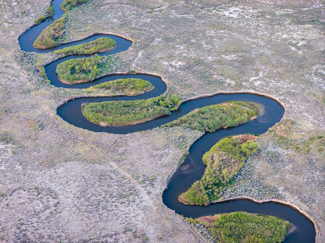 Aerial view of the meandering Owens River flowing through the arid desert landscape with green vegetation along the banks in Inyo County California United States.