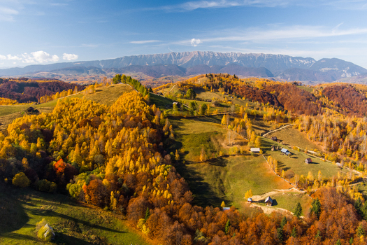 Aerial view of the rolling hills and autumn forests of the Carpathian Mountains with small rural houses in the countryside of Bran Brasov Romania. Aerial view of the rolling hills and autumn forests of the Carpathian Mountains with small rural houses in the countryside of Bran Brasov Romania.