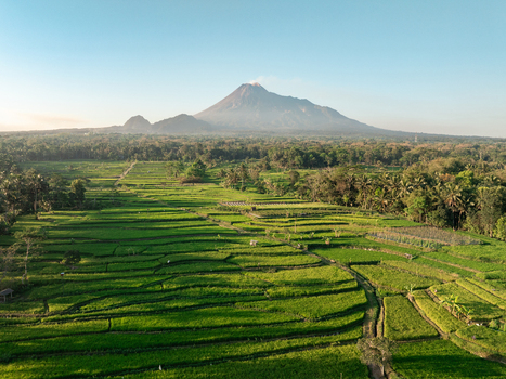 Aerial view of Mount Merapi volcano rising above lush green terraced rice fields and tropical vegetation in Kecamatan Cangkringan Daerah Istimewa Yogya Indonesia. Aerial view of Mount Merapi volcano rising above lush green terraced rice fields and tropical vegetation in Kecamatan Cangkringan Daerah Istimewa Yogya Indonesia.