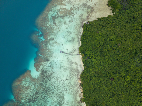 Aerial view of the forest s edge meeting the vibrant turquoise sea revealing a coral reef at Turtle Conservation Karimunjawa Central Java Indonesia.