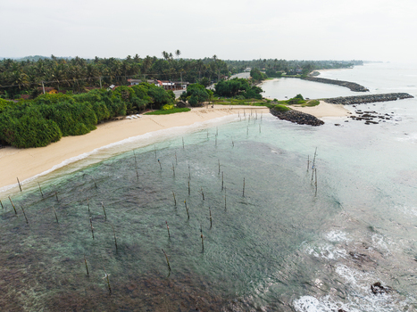 Aerial view of traditional stilt fishing poles in the turquoise ocean water along a sandy beach lined with palm trees in Koggala Southern Province Sri Lanka. Aerial view of traditional stilt fishing poles in the turquoise ocean water along a sandy beach lined with palm trees in Koggala Southern Province Sri Lanka.