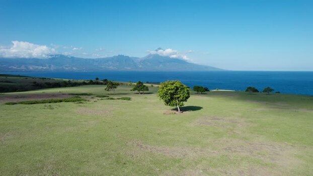Aerial view of Mausui Savanna and the sea Indonesia. Aerial view of Mausui Savanna and the sea Indonesia.