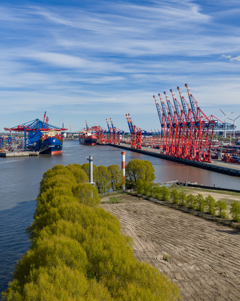 Aerial view of Waltershofer Hafen with large red container cranes cargo ships moored in the harbor and lush green trees under a blue sky Hamburg Hamburg Germany. Aerial view of Waltershofer Hafen with large red container cranes cargo ships moored in the harbor and lush green trees under a blue sky Hamburg Hamburg Germany.
