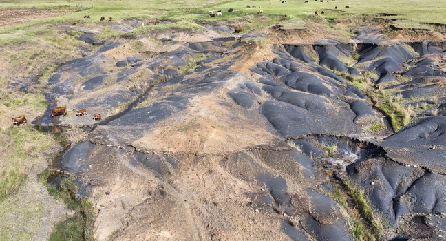 Aerial view of severe soil erosion and dark earth mounds with cattle grazing on green pastures OR Tambo District Municipality Eastern Cape South Africa. Aerial view of severe soil erosion and dark earth mounds with cattle grazing on green pastures OR Tambo District Municipality Eastern Cape South Africa.