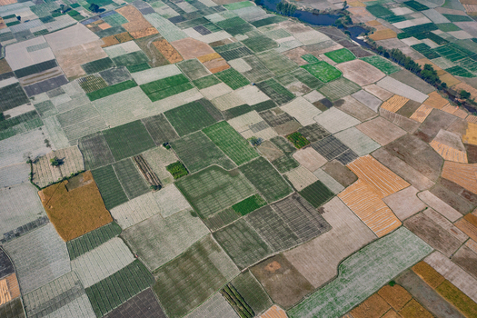 Aerial view of a patchwork of agricultural fields with various crops and rectangular plots in Bogura Rajshahi Division Bangladesh.