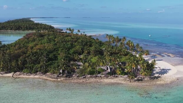 Aerial view of tropical palm island and coral reefs Maldives.