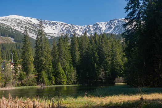 View of Vrbicke pleso lake surrounded by dense evergreen forests and snow capped mountain peaks in Demanovska Dolina Zilina Region Slovakia. View of Vrbicke pleso lake surrounded by dense evergreen forests and snow capped mountain peaks in Demanovska Dolina Zilina Region Slovakia.