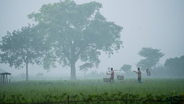 View of men carrying baskets in a foggy field Bangladesh. View of men carrying baskets in a foggy field Bangladesh.