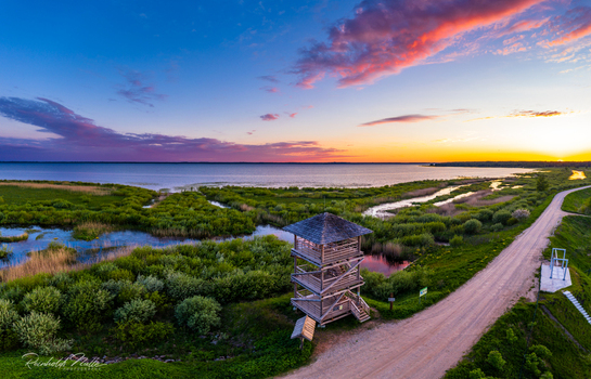 Aerial view of a wooden observation tower situated in a lush wetland area with winding waterways and a dirt road along the shore of a large lake under a vibrant sunset sky in Latvia. Aerial view of a wooden observation tower situated in a lush wetland area with winding waterways and a dirt road along the shore of a large lake under a vibrant sunset sky in Latvia.
