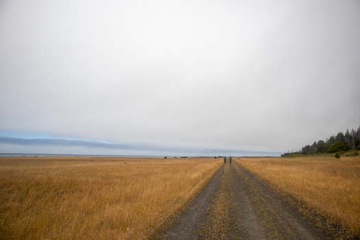 View of two people walking along a dirt road through the golden fields of the Lost Coast under an overcast sky in Humboldt County California United States.