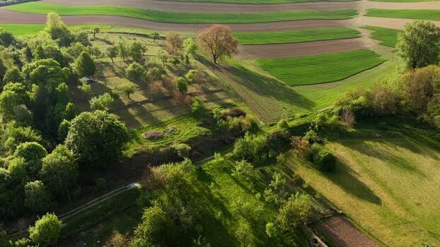 Aerial view of rolling agricultural fields and lush orchard Czechia. Aerial view of rolling agricultural fields and lush orchard Czechia.