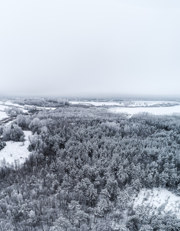 Aerial view of a vast snow covered forest landscape under a cloudy winter sky in Latvia. Aerial view of a vast snow covered forest landscape under a cloudy winter sky in Latvia.