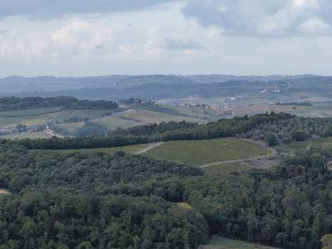 Aerial view of the rolling hills of Tuscany featuring lush vineyards olive groves and dense forests under a cloudy sky in Monteriggioni Tuscany Italy.
