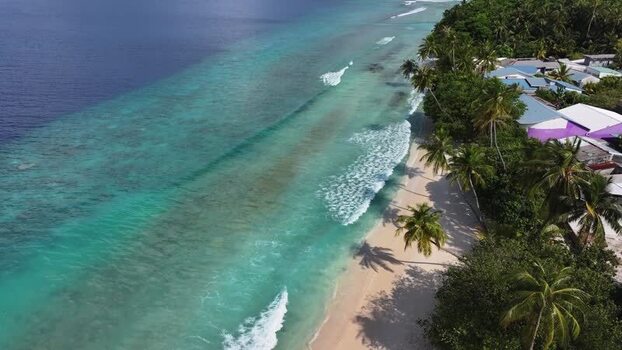 Aerial view of turquoise waves on a white sand beach and palm trees Maldives. Aerial view of turquoise waves on a white sand beach and palm trees Maldives.