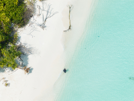 Aerial view of a person wading in vibrant turquoise water contrasting with white sand and dense green foliage Thuraakunu Thiladhunmathee Uthuruburi Maldives. Aerial view of a person wading in vibrant turquoise water contrasting with white sand and dense green foliage Thuraakunu Thiladhunmathee Uthuruburi Maldives.