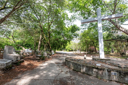 View of a large concrete cross standing in an abandoned cemetery with weathered gravestones cracked pathways and overgrown trees.