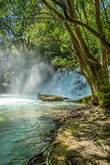 View of Tarawera Falls cascading into a clear river with exposed tree roots on the bank in the lush forest of Bay of Plenty Region New Zealand. View of Tarawera Falls cascading into a clear river with exposed tree roots on the bank in the lush forest of Bay of Plenty Region New Zealand.