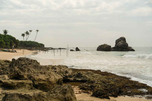 View of traditional stilt fishing poles in the shallow water near large rock formations and a sandy beach in Koggala Southern Province Sri Lanka. View of traditional stilt fishing poles in the shallow water near large rock formations and a sandy beach in Koggala Southern Province Sri Lanka.