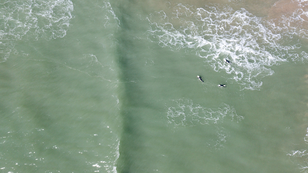 Aerial view of three surfers waiting for waves in the turquoise ocean water at Bantham Beach in Kingsbridge Devon United Kingdom. Aerial view of three surfers waiting for waves in the turquoise ocean water at Bantham Beach in Kingsbridge Devon United Kingdom.