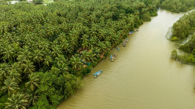 Aerial view of a lush coconut grove lining the riverbank with small wooden fishing boats moored along the shore in Honnavar Karnataka India.