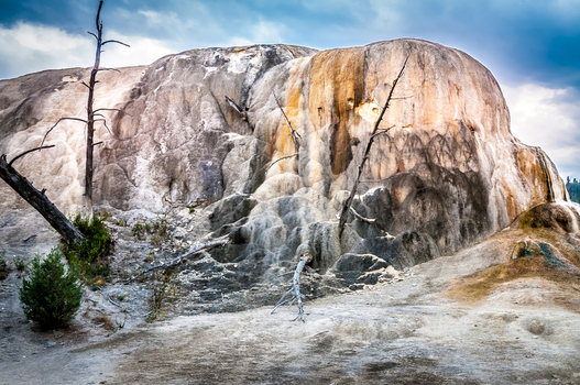 View of the travertine terraces at Mammoth Hot Springs with mineral deposits and dead trees under a cloudy sky in Yellowstone National Park United States.