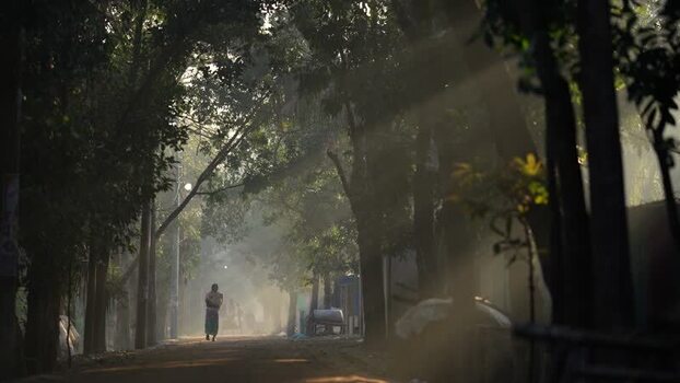 View of a person walking on a misty road in Bogura Bangladesh.