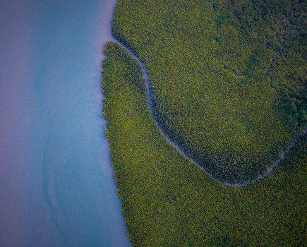 Aerial view of a winding river flowing through a dense mangrove forest with lush green vegetation and calm water in Opobo Town Rivers Nigeria. Aerial view of a winding river flowing through a dense mangrove forest with lush green vegetation and calm water in Opobo Town Rivers Nigeria.