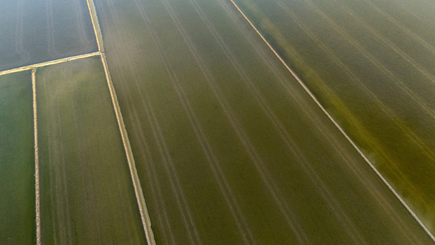 Aerial view of the geometric patterns of agricultural fields and irrigation lines at Isla Minima Coria del Rio Andalusia Spain. Aerial view of the geometric patterns of agricultural fields and irrigation lines at Isla Minima Coria del Rio Andalusia Spain.