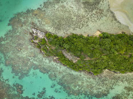 Aerial view of a vibrant green island surrounded by turquoise waters and visible coral reefs near Annora Beach Karimunjawa Jawa Tengah Indonesia.
