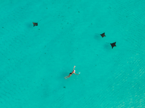 Aerial view of a swimmer surrounded by eagle rays in the turquoise waters of Kan Island Dhidhdhoo Thiladhunmathi Atoll Maldives.