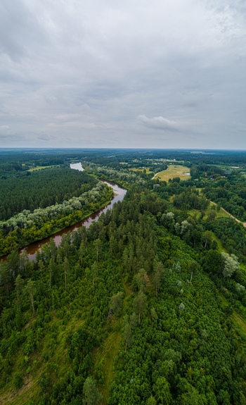 Aerial view of a winding river flowing through a dense green forest landscape under a cloudy sky Latvia. Aerial view of a winding river flowing through a dense green forest landscape under a cloudy sky Latvia.