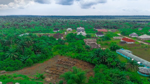 Aerial view of scattered houses and buildings nestled among dense tropical palm trees and lush green vegetation in Minima Rivers Nigeria.