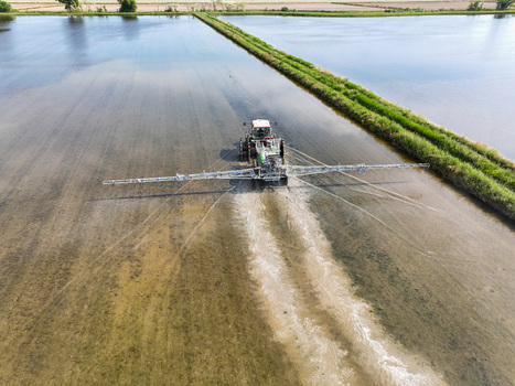 Aerial view of a tractor with a wide sprayer boom working in flooded rice paddies under a bright sky in Trino Piedmont Italy.