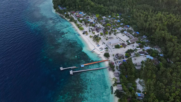 Aerial view of Raja Ampat coastal village with wooden piers extending into turquoise water sandy beach lush palm trees and small houses in Raja Ampat Southwest Papua Indonesia.
