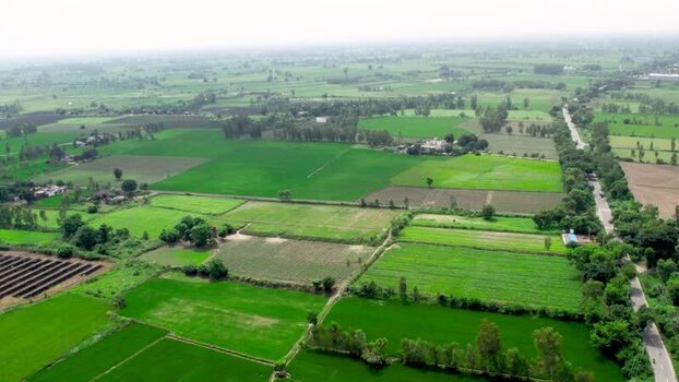 Aerial view of lush green agricultural fields in Patna India.