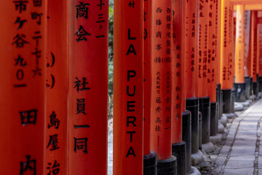 View of the iconic Senbon Torii gates with vibrant orange pillars and black bases featuring Japanese kanji inscriptions along a stone path in Kyoto Kyoto Japan.