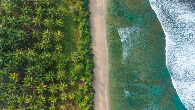 Aerial view of a tropical beach bordered by a dense palm tree forest and turquoise ocean waves crashing on the shore in Indonesia. Aerial view of a tropical beach bordered by a dense palm tree forest and turquoise ocean waves crashing on the shore in Indonesia.
