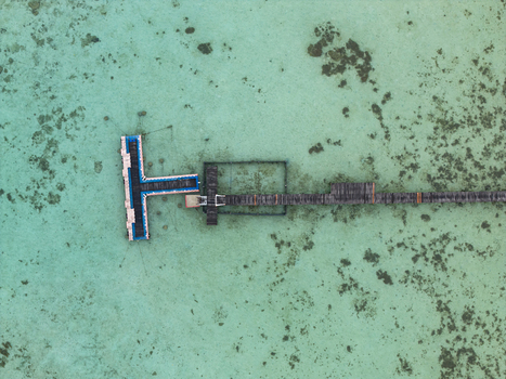 Aerial view of a pier stretching into the turquoise sea contrasting against the dark wooden structure at Turtle Conservation Karimunjawa Central Java Indonesia.