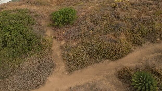 Aerial view of coastal trails at La Jolla Cove United States.
