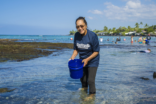Aerial view of Kahaluu Beach Park with a woman in a ReefTeach shirt holding a blue bucket in the shallow water and people snorkeling in the background in Kailua Kona Hawaii United States. Aerial view of Kahaluu Beach Park with a woman in a ReefTeach shirt holding a blue bucket in the shallow water and people snorkeling in the background in Kailua Kona Hawaii United States.