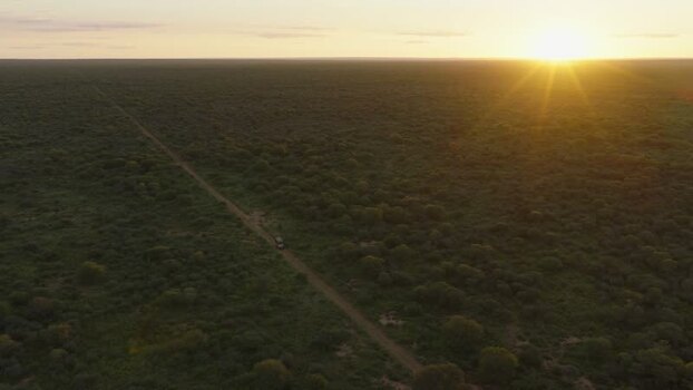 Aerial view of savanna landscape at sunset in South Africa.
