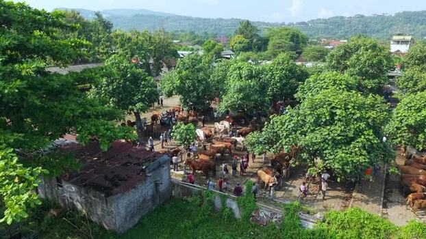 Aerial view of Animal Market Prambanan Indonesia. Aerial view of Animal Market Prambanan Indonesia.