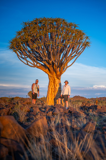 Aussenkehr Namibia 06 March 2026 View of two silhouetted figures standing beneath the golden glow of a quiver tree against a vivid blue sky atop the rocky landscape. Aussenkehr Namibia 06 March 2026 View of two silhouetted figures standing beneath the golden glow of a quiver tree against a vivid blue sky atop the rocky landscape.