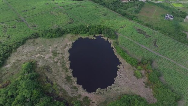 Aerial view of a dark pond surrounded by lush greenery Mauritius.