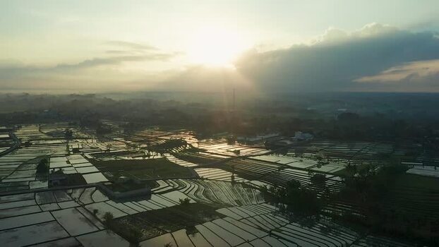 Aerial view of flooded rice terraces at sunrise Indonesia. Aerial view of flooded rice terraces at sunrise Indonesia.