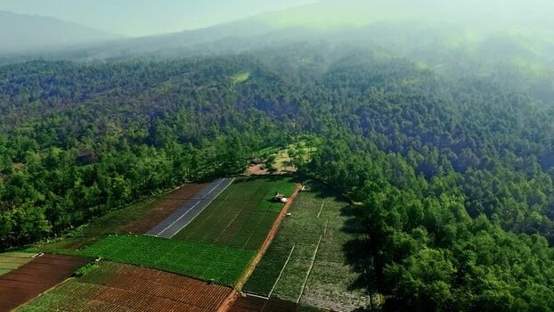 Aerial view of agricultural fields in the mountains of Indonesia.