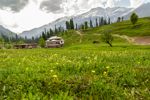 View of a lush green meadow with yellow wildflowers traditional houses and snow capped mountains under a cloudy sky Arang Kel Azad Kashmir Pakistan. View of a lush green meadow with yellow wildflowers traditional houses and snow capped mountains under a cloudy sky Arang Kel Azad Kashmir Pakistan.