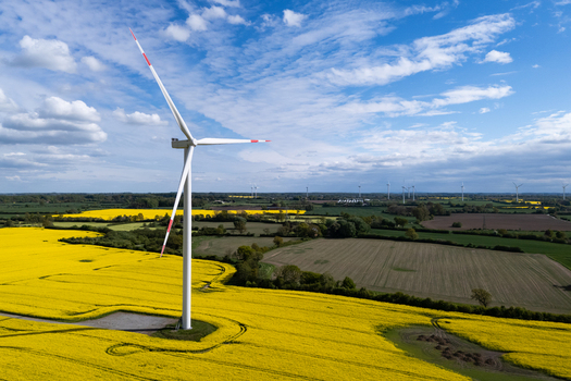 Aerial view of a tall wind turbine standing in a vibrant yellow rapeseed field under a blue sky with scattered clouds in Dollerup Schleswig Holstein Germany.