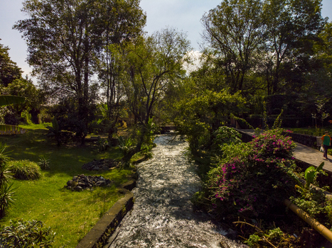 Aerial view of La Espumita park with a flowing river lush trees green grass and blooming bougainvillea in Uruapan Michoacan Mexico.